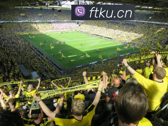 开云官网APP 高清赛事图